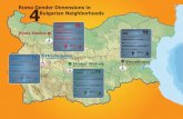 Roma Gender Dimensions in Four  Bulgarian Neighborhoods