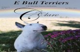 E Bull Terriers April May Edition 2011