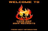 Roller Derby Fresh Meat Recruitment Guide 2014