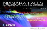 NIagara Supplement