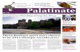 Palatinate Issue 740