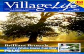 Village Life (Hitchin) Magazine August 2010