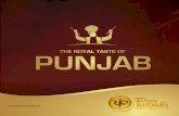 pure Punjabi