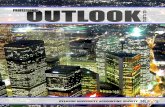 Professional Outlook Winter 2013