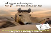 Digital magazine Natudis