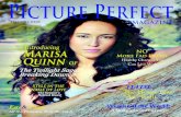 Picture Perfect Magazine Premiere Issue