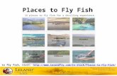 Places to fly fish lelandfly