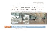 AHEAD Foundation - Issues and Opportunities