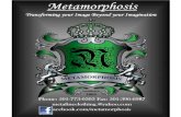 Metamorphosis 2011
