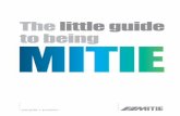The Little Guide to Being MITIE