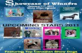 Showcase of winners January  11th 2011