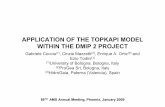APPLICATION OF THE TOPKAPI MODEL WITHIN THE DMIP 2 PROJECT