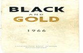 Black & Gold 1966