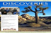 Discoveries Newsletter