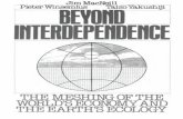 Beyond Interdependence - The Meshing of the worlds economy and ecology