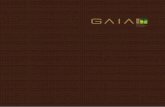 Gaia - Freehold Condo in Balestier