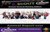 Annual report 2012 final