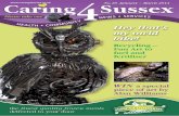 Caring 4 Sussex - Issue 20 - Jan-Mar 2013
