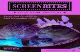 Screen Bites 2013 Festival Programme