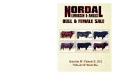 Nordal Limousin and Angus Bull & Female Sale 2013