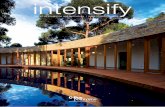 intensify Issue 3