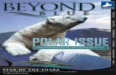 Beyond Blue Issue 6