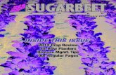 The Sugarbeet Grower Magazine January 2013
