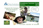 Broadmoor Wildlife Sanctuary Summer Camp