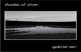 Shades of Silver