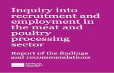 Inquiry into recruitment and employment in the meat and poultry processing sector