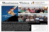 June 2013 Business Voice Newsletter