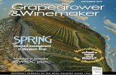 Australian and New Zealand Grapegrower & Winemaker