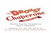 DROWSY CHAPERONE AD EXAMPLES