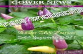 Gower e-News Issue 7 - 23rd September 2011