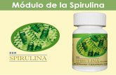 Beneficios de la espirulina
