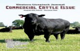 Commercial Cattle Issue 2012