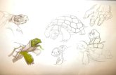 Some sketches of tortoise.