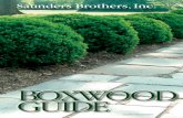 Saunders Brothers - Boxwood Guide