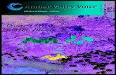 Amber Valley Voice - Alfreton & Villages - May/june edition
