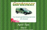 Gardening tips for April