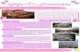 Gifu Event Newsletter - Spring 2012