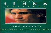 Senna - A Tribute by Ivan Rendall
