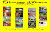 Showcase of winners October 11th 2011