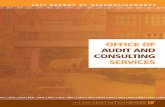 Audit and Consulting Services: 2011 Report