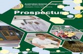 AIC Prospectus