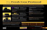TechMix Fresh Cow Protocol