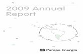 Pampa Energia Annual Report 2009