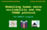 HB05 Modelling human nerve excitability
