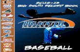 2013 Big South Baseball Record Book