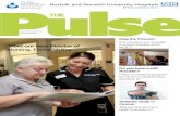 The Pulse - Spring 2013